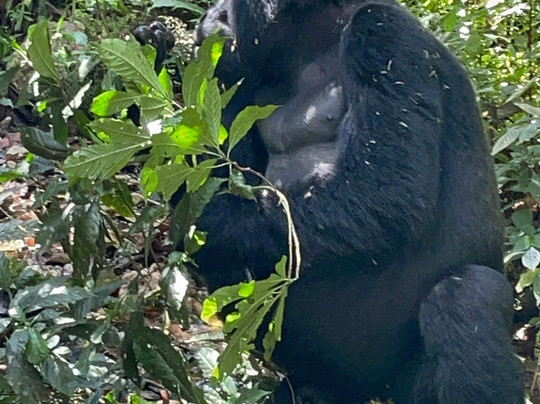 Trek Africa Expeditions-Lyamutundwe必去景点