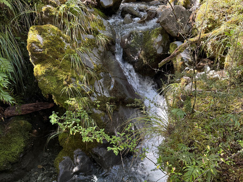 Lewis Pass-Maruia必去景点