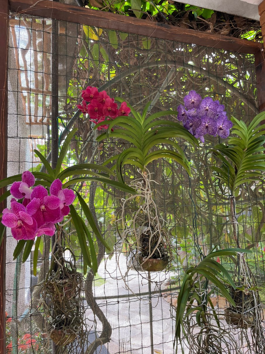 Pousada Casa de Maria-官方