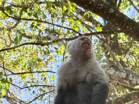 The Congo Trail-Nuevo Colon必去景点