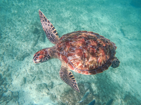 Riviera Elite Private Yacht Tours-阿范特拉斯港必去景点