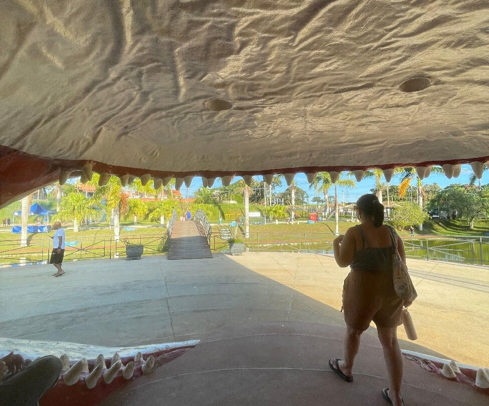 Parque Do Tubarao-Buri必去景点