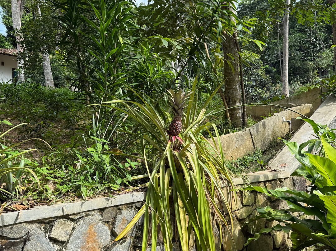 休闲地酒店主图
