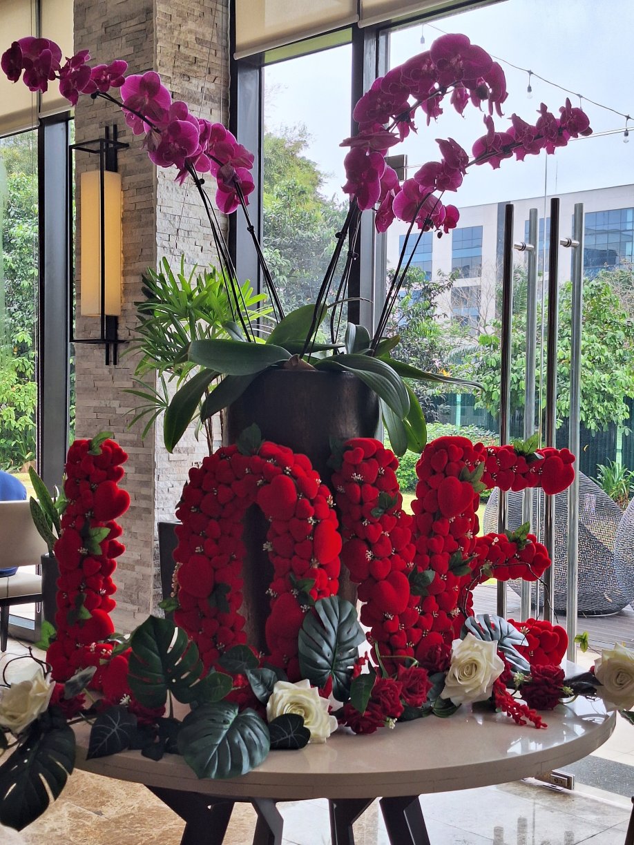 塞达努瓦利酒店-官方