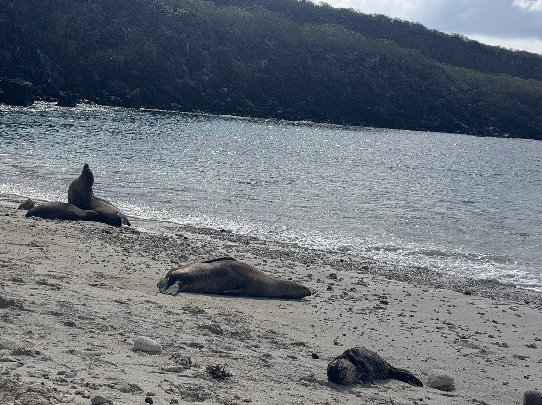 Metropolitan Touring-基多必去景点