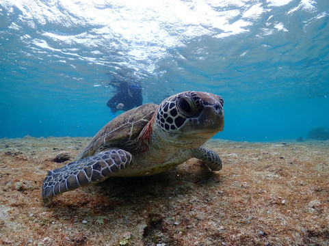 Shigira Beach-宫古岛市必去景点