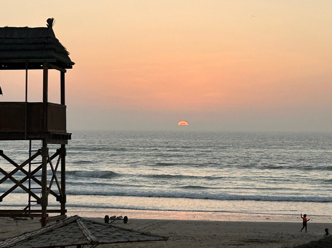 Restaurant Piano Live Music