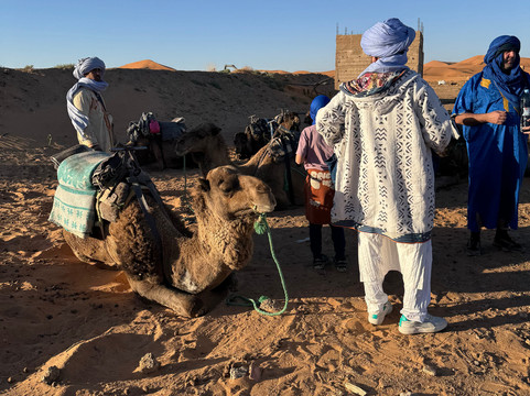 Fuma Tour Travel - Day Tours-非斯必去景点