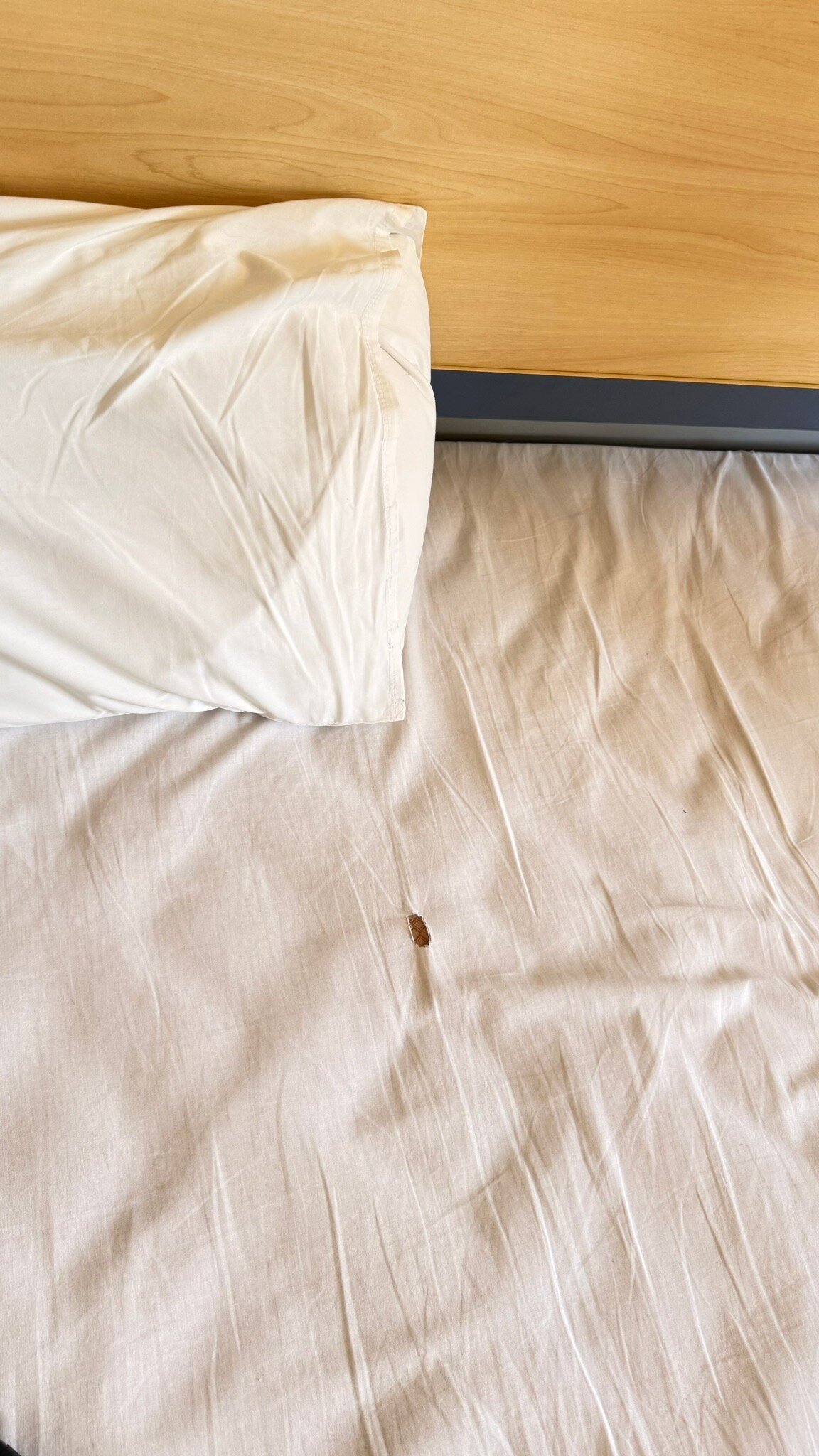 拉德芳斯公寓酒店-官方