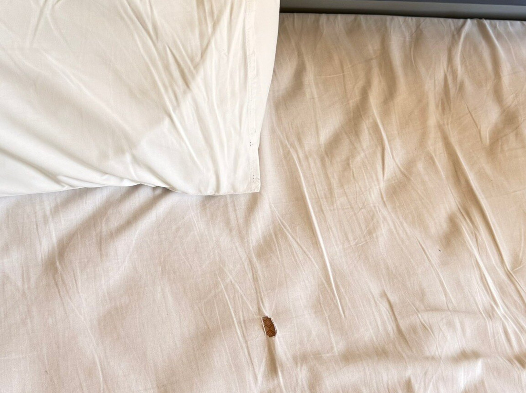 拉德芳斯公寓酒店主图