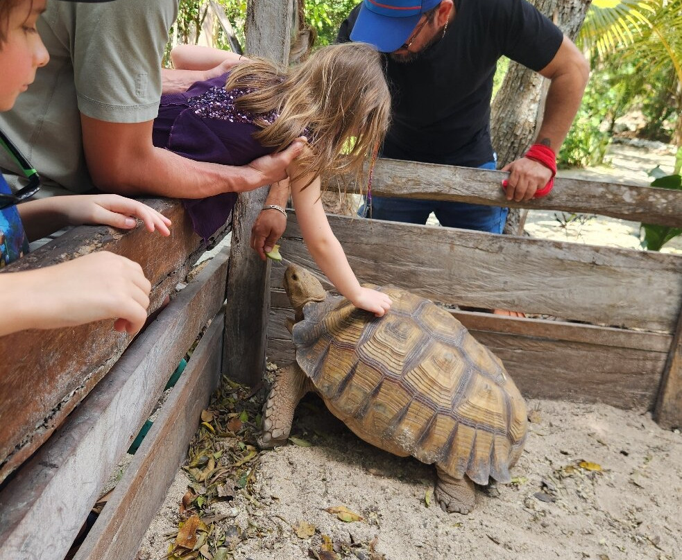 Akumal Natura Rescue-艾库玛尔必去景点