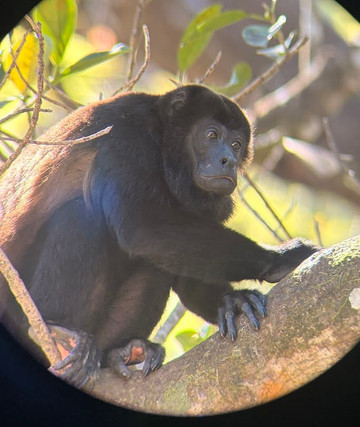 No Limit Adventures CR-利比里亚必去景点