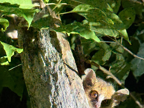 Soul of Madagascar Tours-Toamasina (Tamatave)必去景点