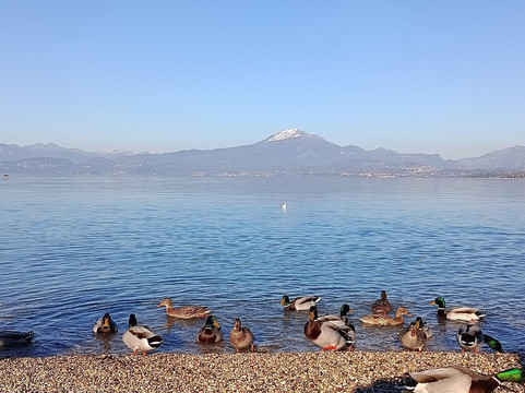 Lungolago Mazzini-佩斯基耶拉德尔加尔达必去景点