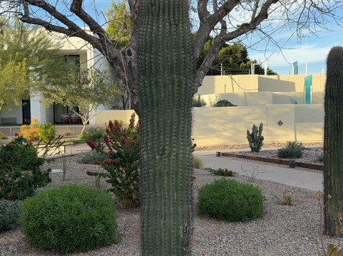 Old Town Scottsdale-斯科茨代尔必去景点