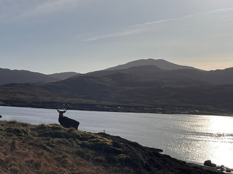 Western Isles Wildlife-North Uist必去景点