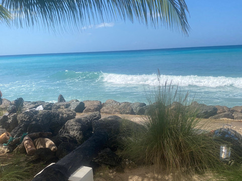 Drift Ocean Terrace Lounge-Holetown必去景点