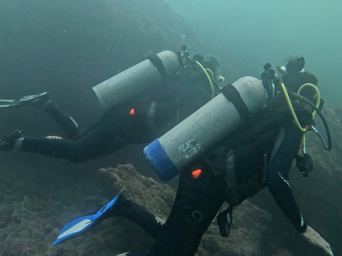 Gaia Divers - Underwater Experiences-Mazunte必去景点