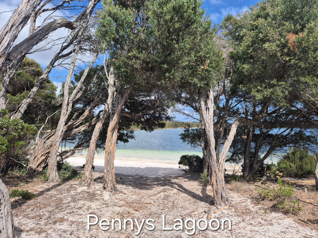 King Island Tours-King Island必去景点