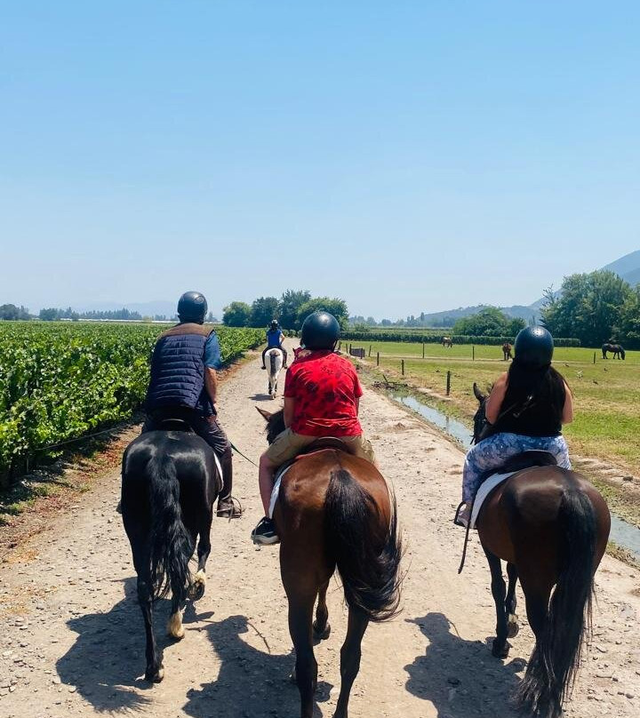 Cabalgatas Y Club Ecuestre Santa Cruz-圣克鲁斯必去景点