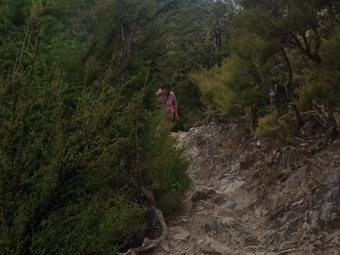 Dog Stream Walkway-汉默温泉必去景点