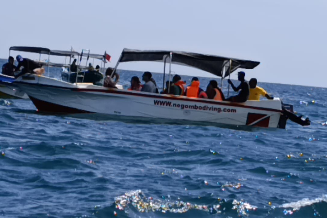 Lankan Travel Hub-Delgoda必去景点