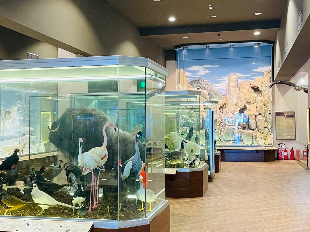Natural History Museum of Meteora & Mushroom Museum-卡兰巴卡必去景点