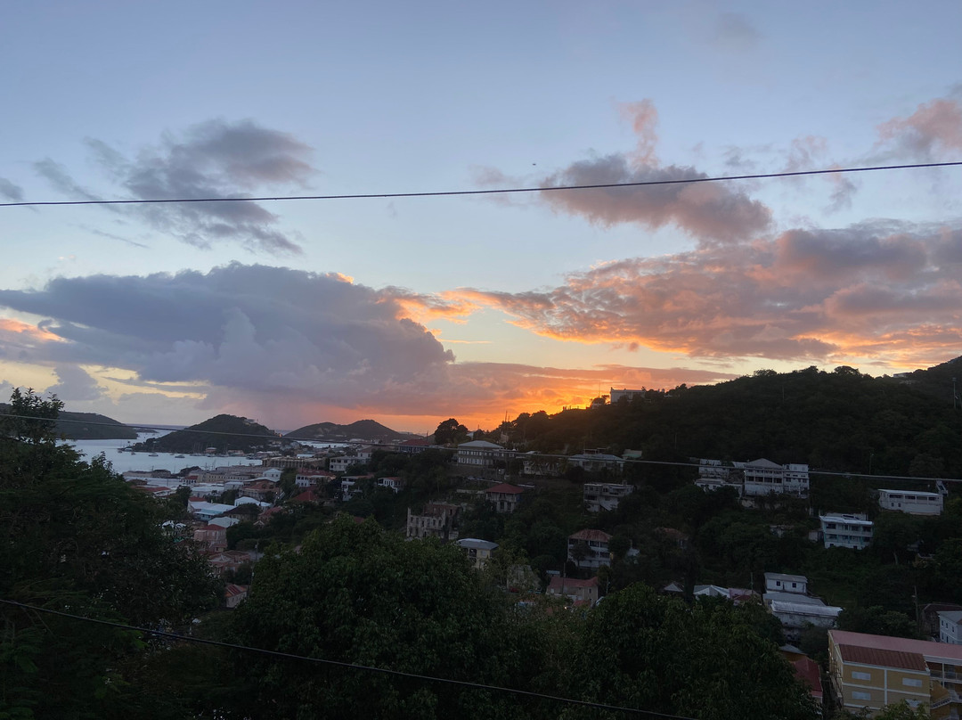 绿鬣蜥酒店主图