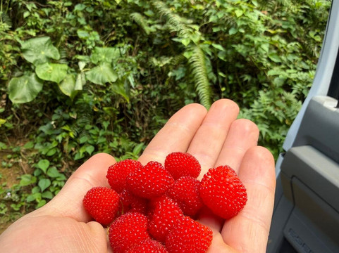 Batey Adventures-Utuado必去景点