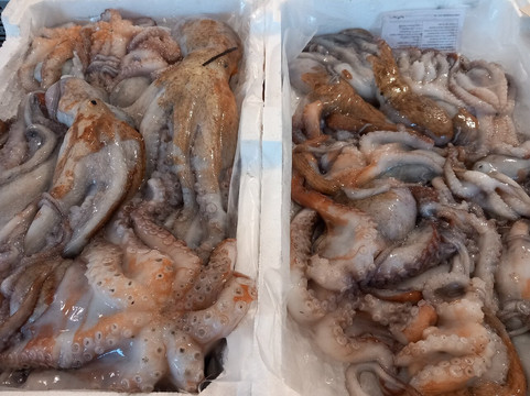 Pescheria Maggio Simone