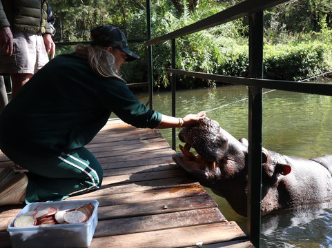 Hippo Jessica-霍德斯普鲁特必去景点