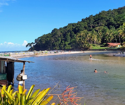 Jeribucacu Beach-Itacare必去景点