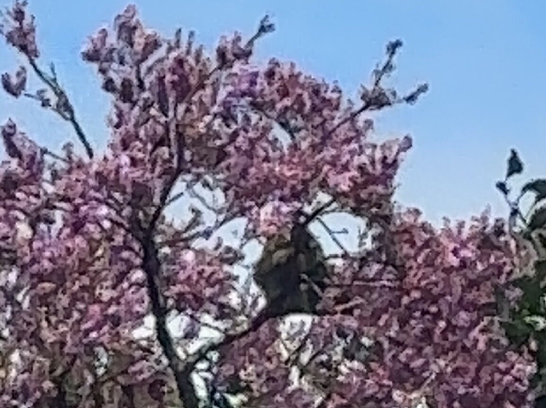 Goolonukos-塔马林多必去景点