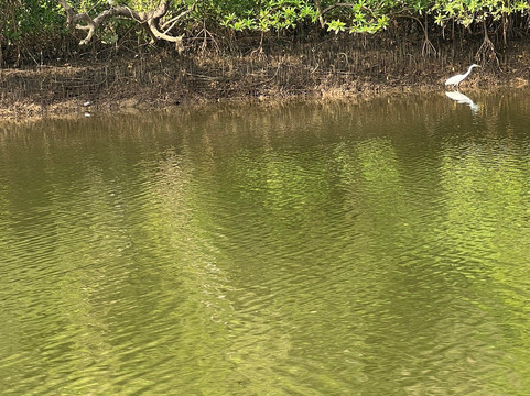 Jake The Snake Boat Trip-Tiswadi必去景点