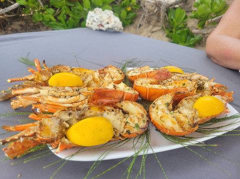 One Drop Excursions-格兰高伯必去景点