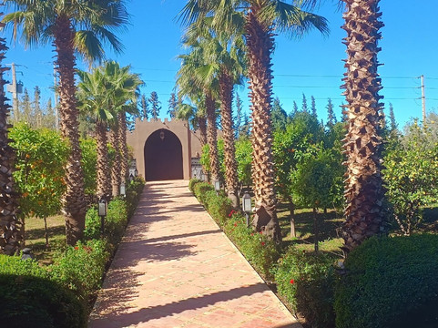 卡斯巴阿特菲尔酒店主图