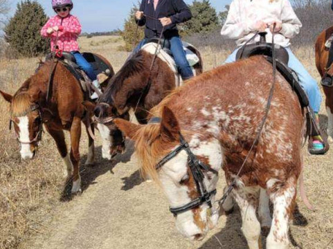 Christine's Horseback Riding-卡尼必去景点