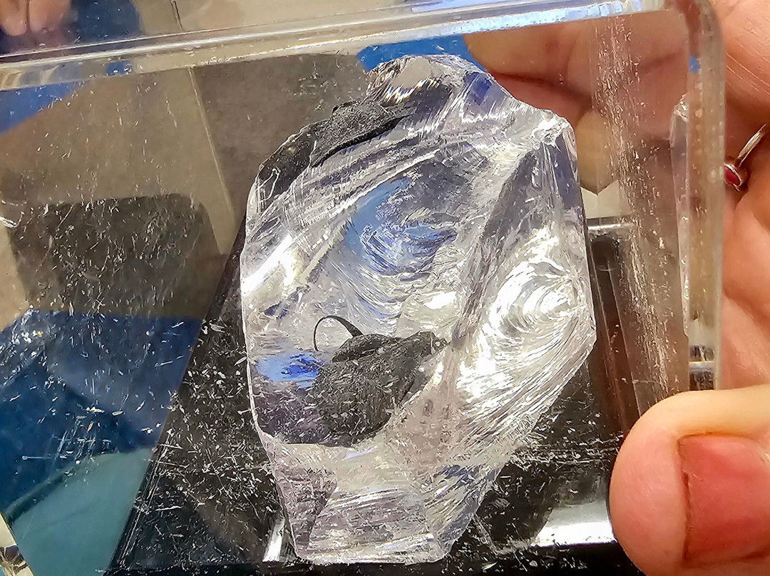 Richard F Caris Mirror Lab-图森必去景点