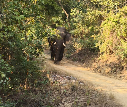 Travel With-阿格拉必去景点
