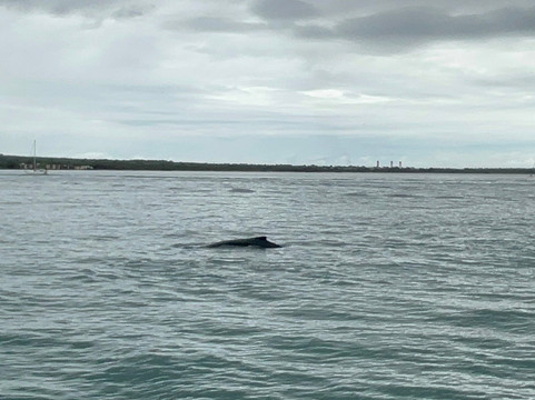 Maui Diamond Sea Sports-玛阿拉也亚必去景点