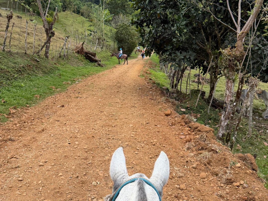 Brisas del Nara-哥斯达黎加安东尼奥国家公园必去景点