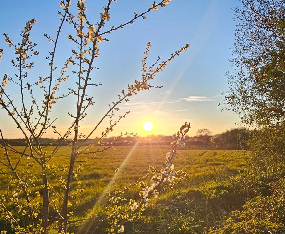 Northbrook Arms主图