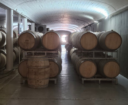 Bodegas Bianchi-圣拉斐尔必去景点