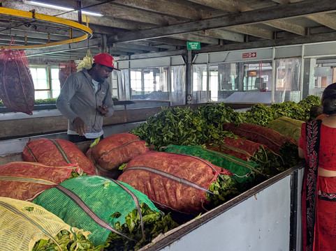 BH Lanka Tours-Kurunegala必去景点