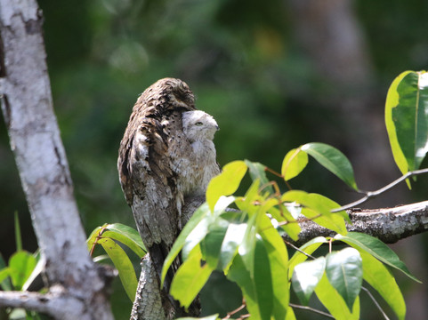 Costa Rica Focus-圣何塞必去景点