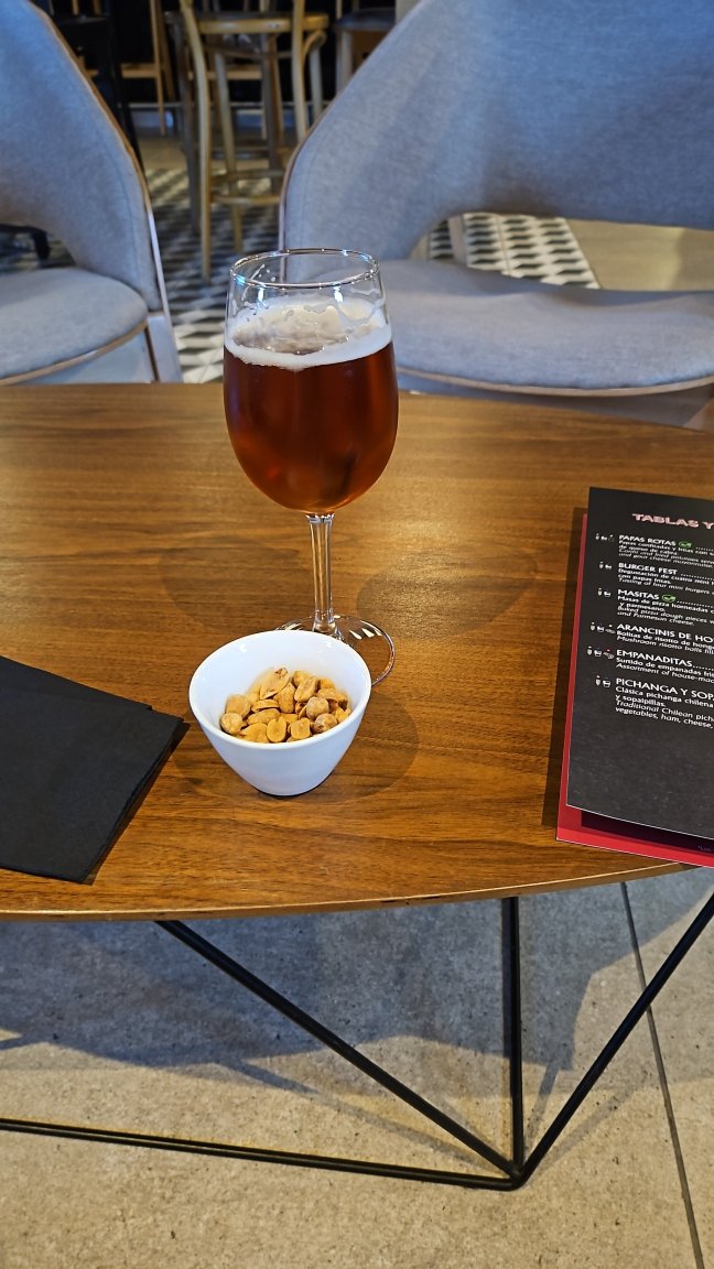 圣地亚哥普罗维登西亚诺富特酒店-官方