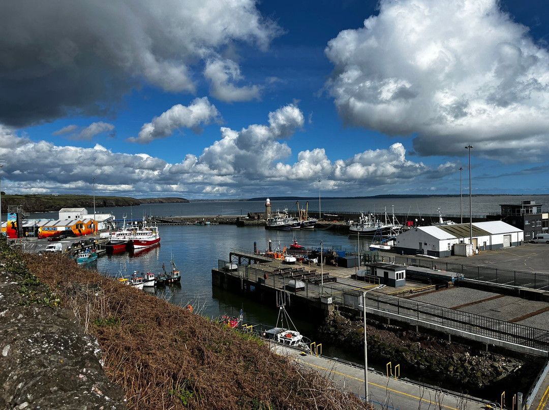 Dunmore East SUP & Yoga - Bluemind Practices-Dunmore East必去景点