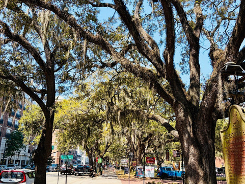 Flavors Food Tours - Savannah-萨凡纳必去景点