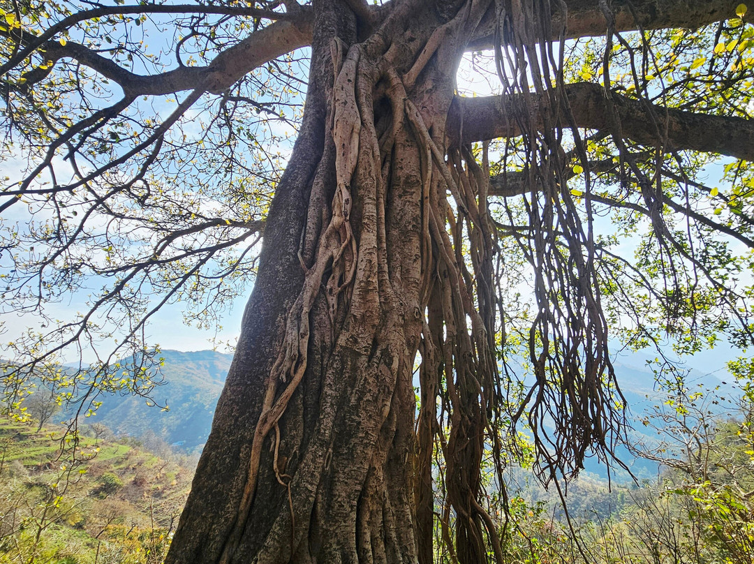 Travel With Pammi-Muni Ki Reti必去景点