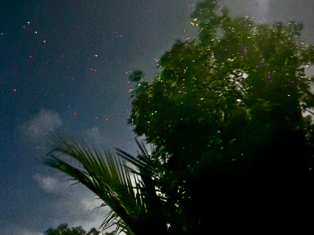 薄荷岛Kayakasia水上之旅-Maribojoc必去景点